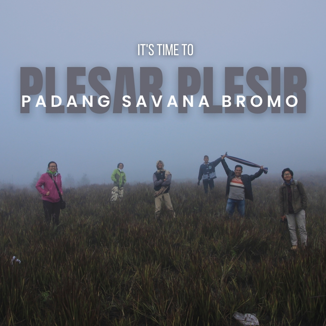 Padang Savana Bromo yang luas dengan hamparan rumput hijau dan perbukitan Tengger di kawasan Taman Nasional Bromo Tengger Semeru