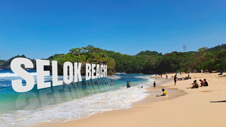 Panorama Pantai Selok Malang dengan garis pantai dan laut selatan yang masih alami